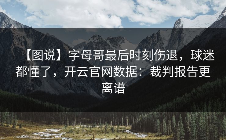 【图说】字母哥最后时刻伤退，球迷都懂了，开云官网数据：裁判报告更离谱